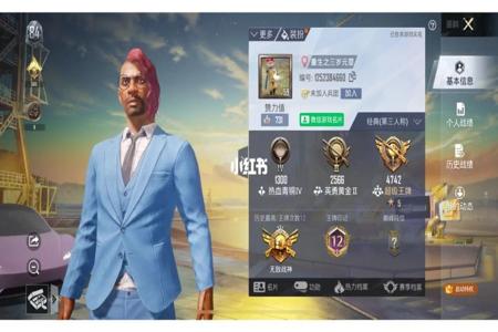 和平精英使用辅助软件安全吗(和平精英辅助软件在哪) 和平精英使用辅助软件安全吗(和平精英辅助软件在哪)