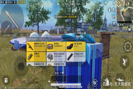 和平精英什么辅助器材质好(和平精英该用什么辅助器) 和平精英什么辅助器材质好(和平精英该用什么辅助器)