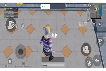 苹果ipad和平精英辅助瞄准(苹果平板ipad和平精英辅助器) 苹果ipad和平精英辅助瞄准(苹果平板ipad和平精英辅助器)