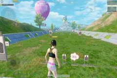 手机和平精英辅助网站（手机玩和平精英辅助工具）