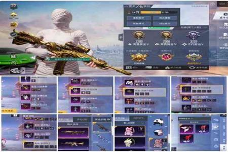 和平精英ios怎么开透视辅助(和平精英ios怎么开辅助助手) 和平精英ios怎么开透视辅助(和平精英ios怎么开辅助助手)