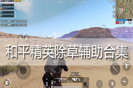 和平精英直装辅助靠谱吗(和平精英辅助靠谱么) 和平精英直装辅助靠谱吗(和平精英辅助靠谱么)
