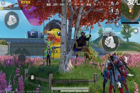 苹果玩和平精英的辅助设置(苹果玩和平精英流畅设置) 苹果玩和平精英的辅助设置(苹果玩和平精英流畅设置)