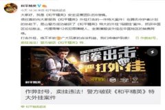 和平精英辅助怎么过检测（和平精英外挂是怎么检测）