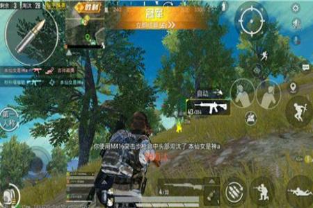 和平精英合格的辅助带什么(和平精英辅助什么样) 和平精英合格的辅助带什么(和平精英辅助什么样)