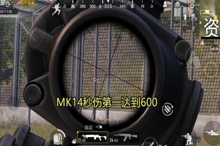 和平精英子弹辅助怎么设置(和平精英辅助射击怎么设置) 和平精英子弹辅助怎么设置(和平精英辅助射击怎么设置)