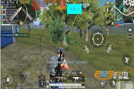 苹果手机和平精英吃鸡辅助(苹果手机和平精英画质辅助) 苹果手机和平精英吃鸡辅助(苹果手机和平精英画质辅助)