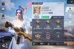 和平精英的外挂枪是什么意思（和平精英里面外挂是什么意思）