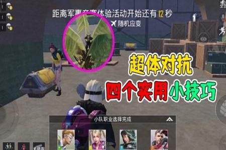 和平精英超体对抗辅助怎么打(和平精英超体对抗怎么打教程) 和平精英超体对抗辅助怎么打(和平精英超体对抗怎么打教程)