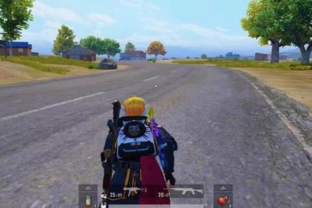 和平精英辅助软件哪个好友(和平精英辅助神器软件哪个好用) 和平精英辅助软件哪个好友(和平精英辅助神器软件哪个好用)