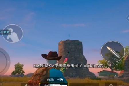 和平精英八卦辅助器app手机版(和平精英瞄准辅助器app苹果手机) 和平精英八卦辅助器app手机版(和平精英瞄准辅助器app苹果手机)