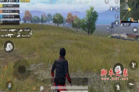 苹果版和平精英除草辅助(苹果和平精英除草) 苹果版和平精英除草辅助(苹果和平精英除草)